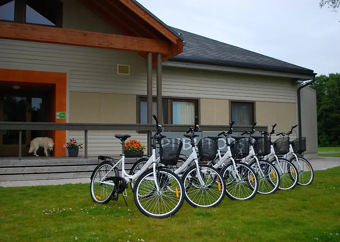 게스트하우스 Piibutopsu House 3*