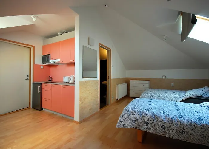 게스트하우스 Piibutopsu House 3*