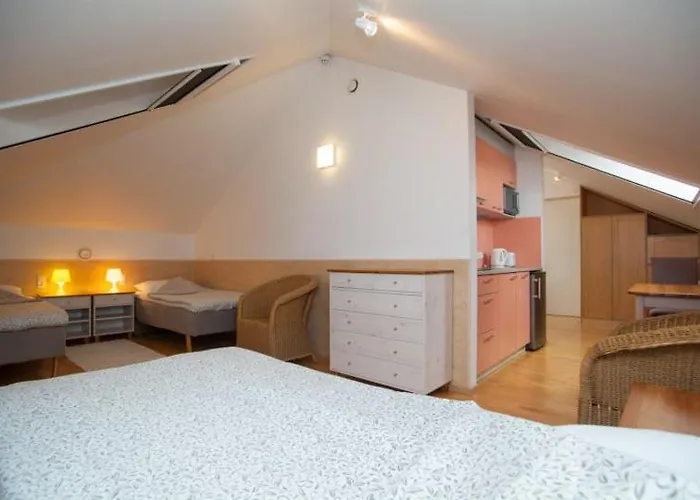 게스트하우스 Piibutopsu House Nasva (Saare)